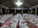 Diniyyah Al-Azhar Bungo Gelar Haul ke-3 Buya Dr. H. Maksum Malim Lc, M.Pd.I