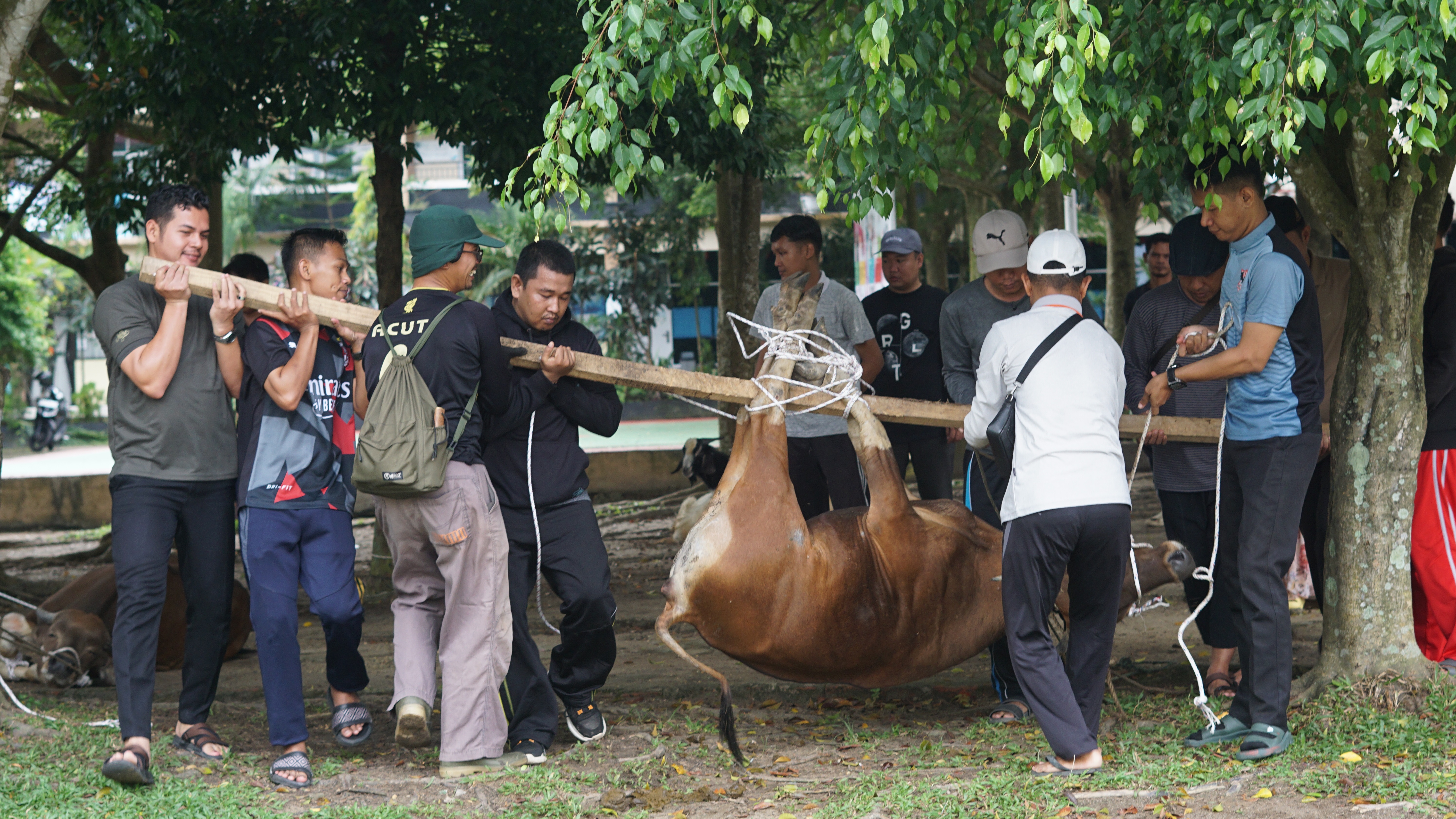 qurban1