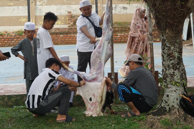 Diniyyah Al-Azhar group sembelih 22 Hewan Qurban